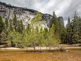 Yosemite 023